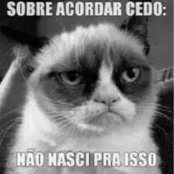 Tenho dificuldades para acordar cedo. E agora?